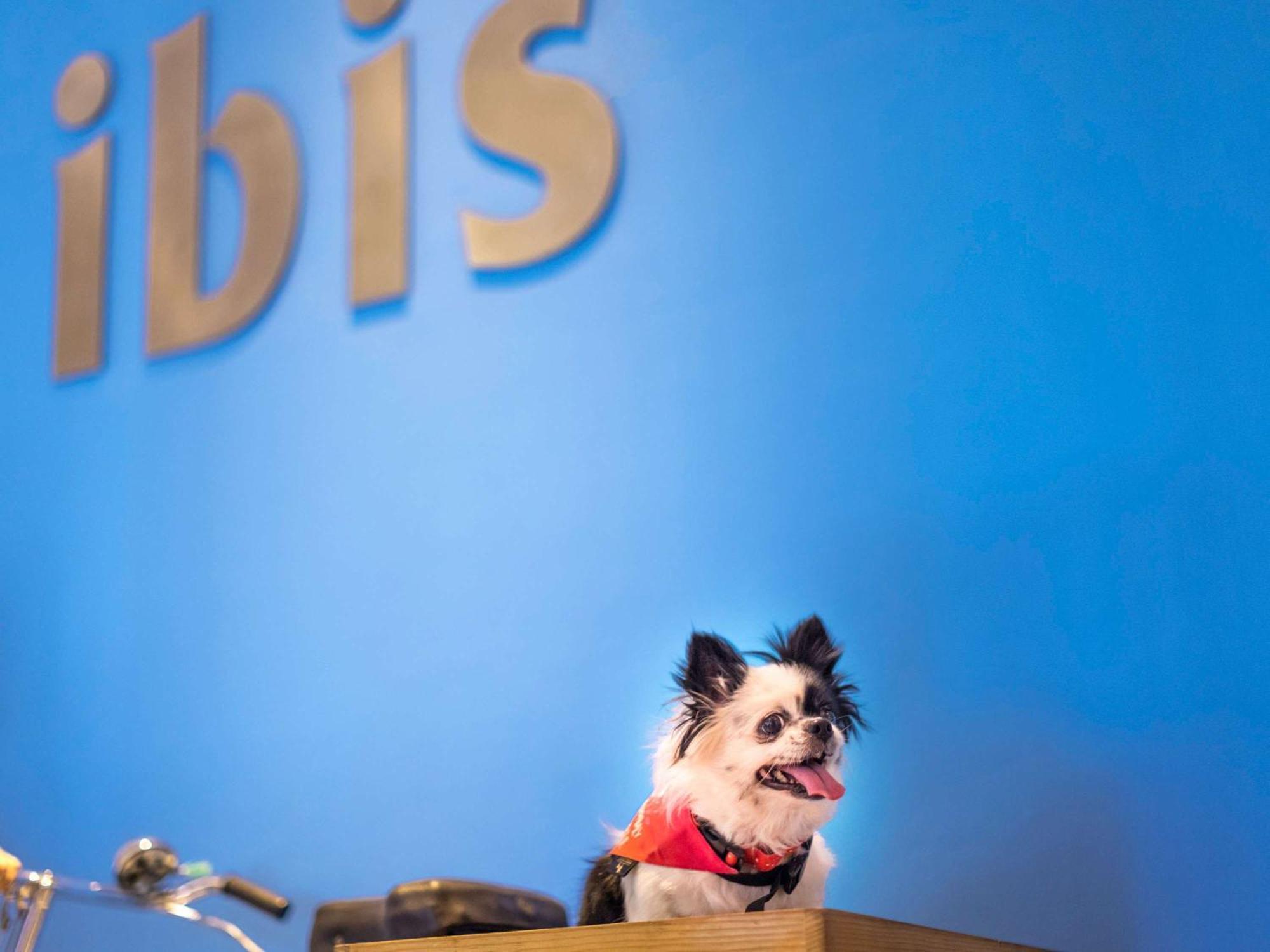 Ibis Chennai City Centre - An Accor Brand Bagian luar foto