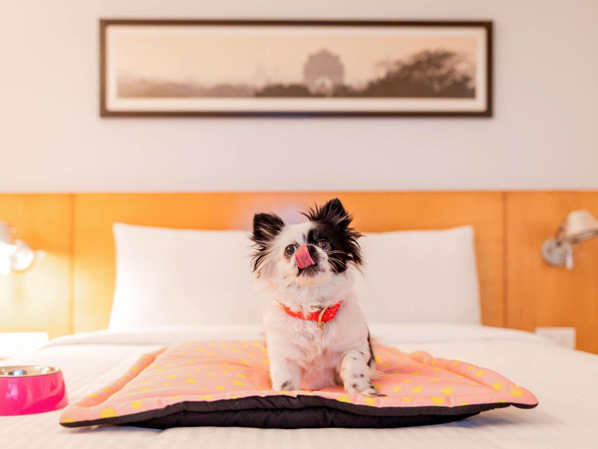 Ibis Chennai City Centre - An Accor Brand Bagian luar foto